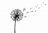 Dandelion Silhouette Vector Clip Scattered Clipart Graphics Transparent Dandelions Superawesomevectors Coffee Flower Silhouettes Tattoo Doodle Cricut sketch template