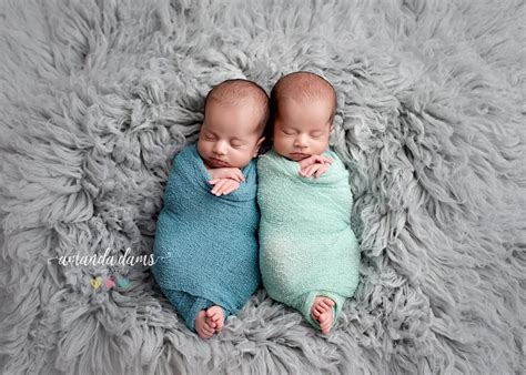 newborn twins photography posing ideas  twins baby boy twin brothers amanda dams twin