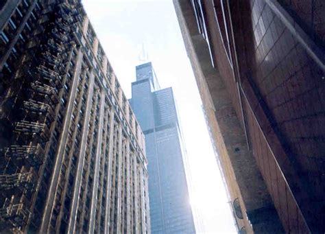 chicago il sears tower photo picture image illinois at city