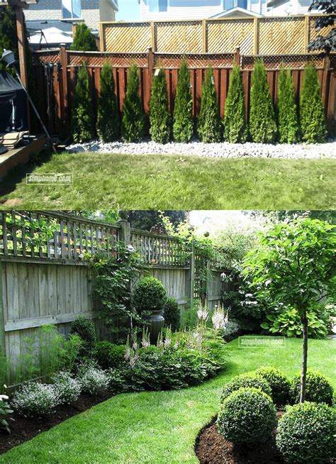 smart concepts    backyard privacy landscaping ideas