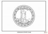 Virginia Flag Coloring State Pages Printable Flags Color Drawing Designlooter Popular 97kb 1020px 1440 sketch template
