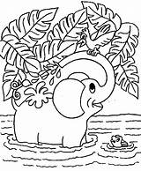 Elefantes Elefante Buscando Estés Tal sketch template