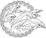 Mandala Coloring Pages Animal Dolphin Kids sketch template