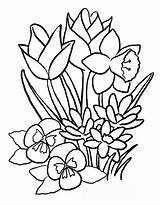 Pages Coloring Easter Flowers Getdrawings sketch template