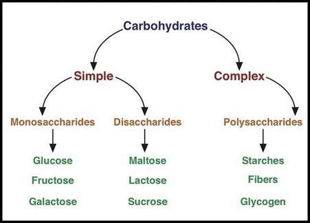 Classification Of Carbohydrates With Types Structure And Formula With