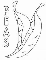 Peas sketch template