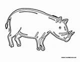 Boar Coloring Pages Boars sketch template
