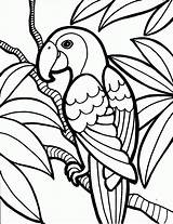 Coloring Pages Bird Printable Visit sketch template