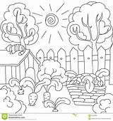 Garden Coloring Book Vector Carrots Pages Illustration Preview sketch template