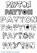 Payton Coloriage Template sketch template