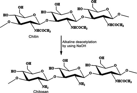 Extraction And Characterization Of Chitosan From Shrimp Shells