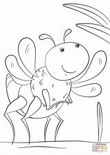 Coloring Insect Cartoon Pages Stick Walking Insects Paper sketch template