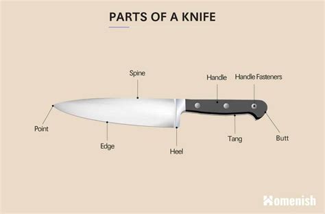 identifying  parts   knife  illustrated diagram homenish