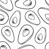 Avocado Aguacate Texture Decorative sketch template