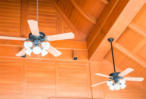 dog days  summer  quickly approaching cool  house   ceiling fan