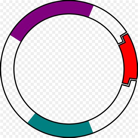 plasmid clipart   cliparts  images  clipground