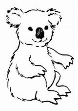 Koala Coloring Pages Kids Printable Template Animal Sketch Animalplace sketch template