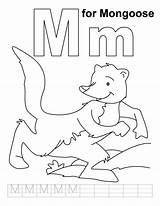 Practice Handwriting Mongoose Worksheets Coloring Writing Improve Cursive Sheets Analysis sketch template