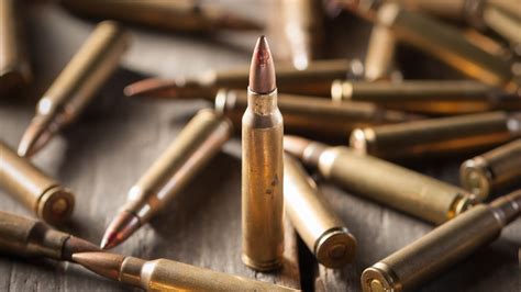 lead ammunition poses real risks  wont gun owners switch