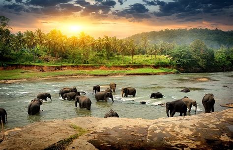 journey  sri lanka  operators travel agents holiday packages