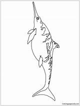 Ichthyosaurus Pages Coloring Color Dinosaur Coloringpagesonly sketch template