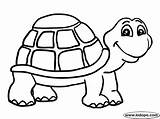 Coloring Turtle Pages Kids Tortoise Printable Preschool Turtles Print Yertle Animal Color Clipart Sheets Book Letscolorit Coloringhome Snake Craft Crafts sketch template