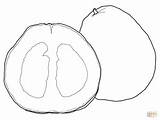 Pomelo Coloring Pages Printable Categories Supercoloring sketch template
