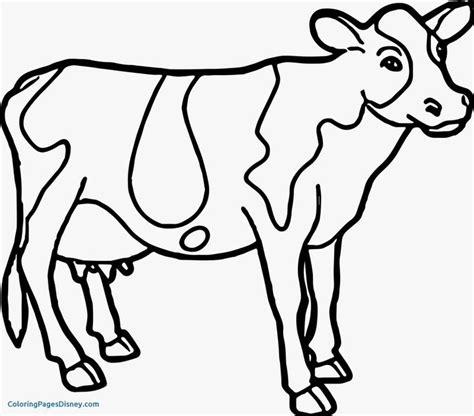 pin  animal coloring pages