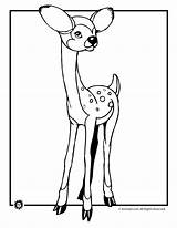 Coloring Fawn sketch template