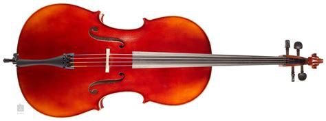 gewa ideale violoncello  cb violoncello