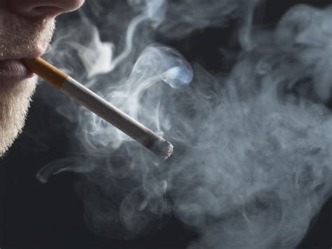 smoking thins vital part  brain study oneindia news