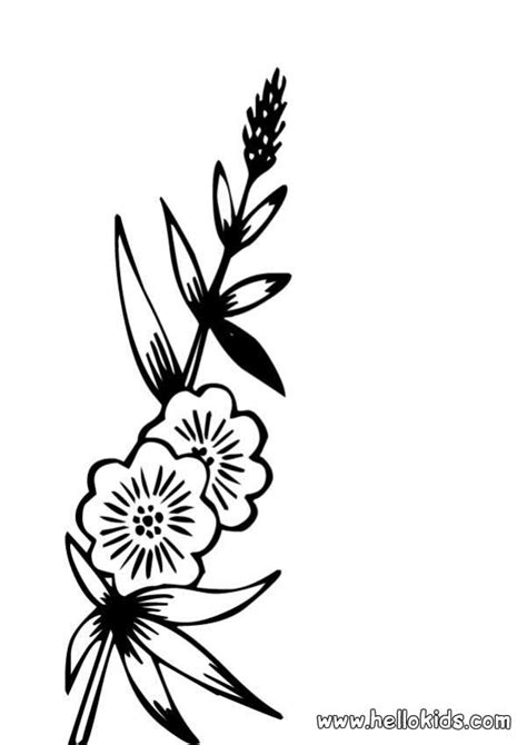wild flower coloring page perfect coloring sheet  kids