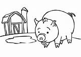 Coloring Pig Pages Kids Print Pigs Near Bank Guinea Barn Cartoon Cute Cliparts Christmas Line Baby Characters Clipart Colouring Printable sketch template