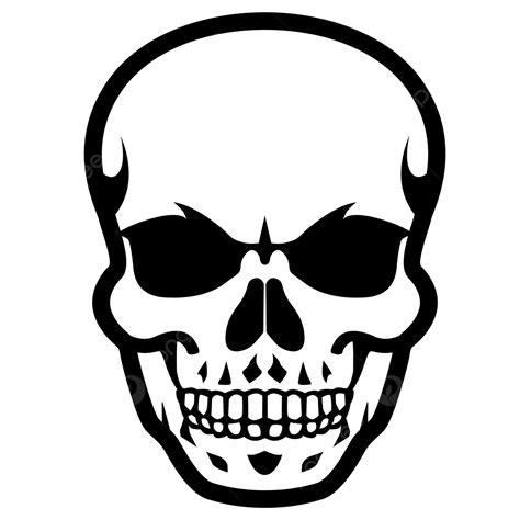 skull clip art skull skull clipart png  vector  transparent background