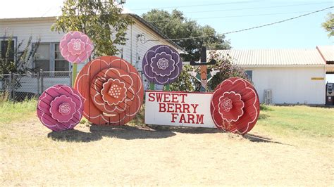 sweet berry farm today     annual road trip flickr