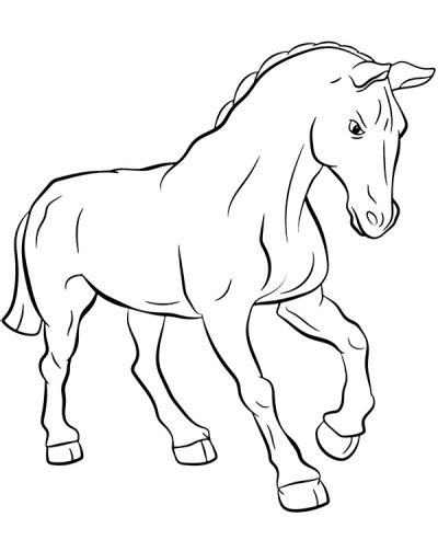 printable stallion coloring page topcoloringpagesnet