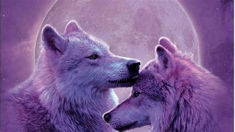 moonwolves wolves animals painting moon nature wolf  pictures