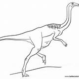Gallimimus Dinosaurs Bettercoloring Suchomimus Baryonyx Tagged sketch template