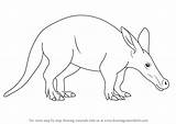 Aardvark Draw Coloring Drawing Simple Pages Step Wild Animals Kids Printable Tutorials sketch template
