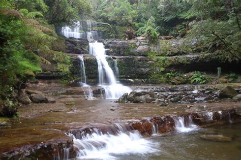 liffey falls  waterfalls   world heritage area