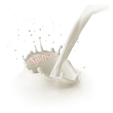 patna dairy projects sudha milk products