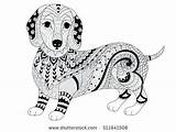 Dachshund Coloring Pages Puppy Getcolorings Adult Getdrawings sketch template