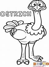 Coloring Pages Ostrich Book Bird Kindergarten Kids sketch template