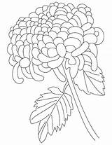 Chrysanthemum Bestcoloringpagesforkids sketch template