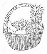 Basket Fruit Drawing Sketch Clipart Food Line Baskets Bowl Step Fruits Vector Vegetable Getdrawings Drawings Sketches Healthy Coloring Paintingvalley Collection sketch template