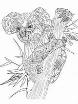 Koala Adults Zentangle sketch template