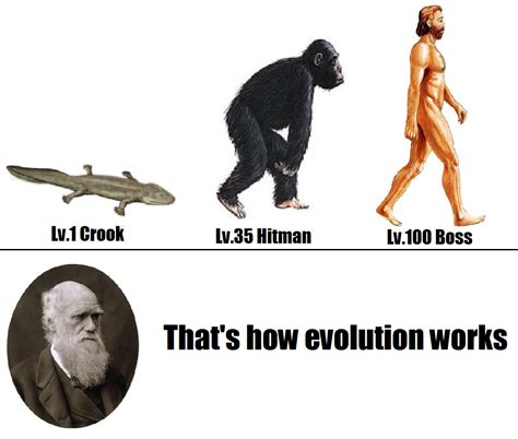 charles darwin presents  theory  evolution    time