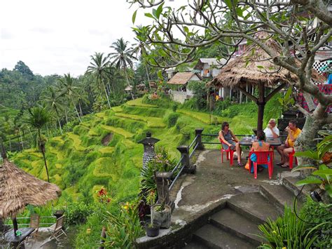 Bali 2014 Tegallalang Rice Terraces