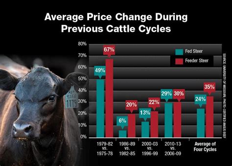 previous cattle cycles  predict coming market trends drovers
