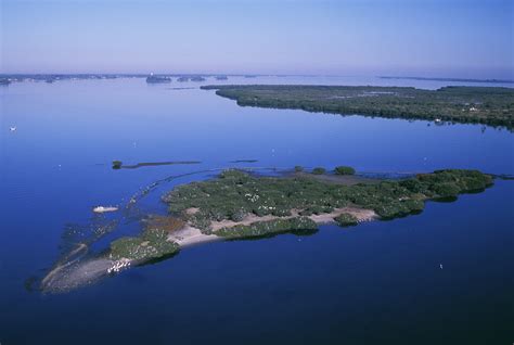 pelican island conservation society